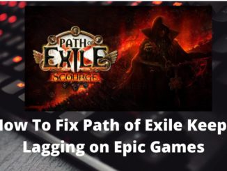 Comment réparer le retard de Path of Exile sur Epic Games ?