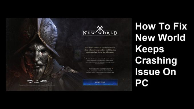 Comment résoudre le problème de plantage de New World sur PC ?